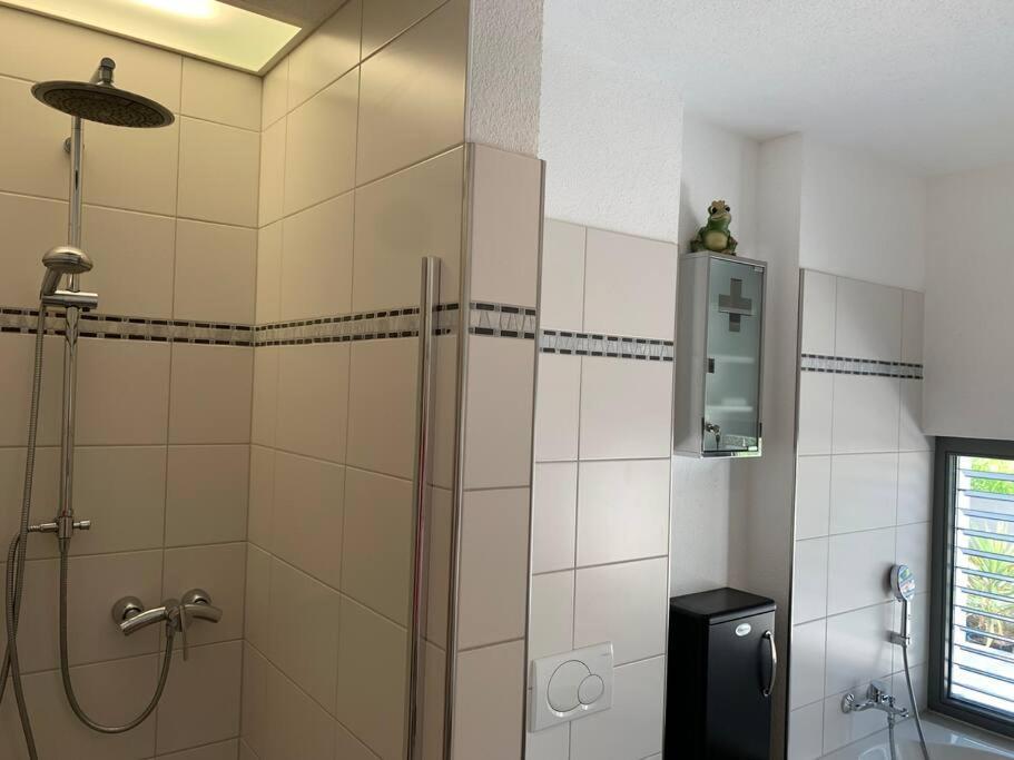Panorama Apartment Kandern Buitenkant foto